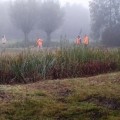 Zijn landschapsonderhoud?