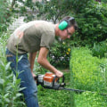 Onderhoud van de tuin?
