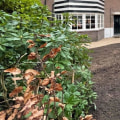 Kan tuinonderhoud werken in Victoria?
