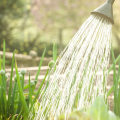 Hoe houd je de tuin water terwijl je weg bent?