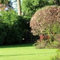 Waarom gazononderhoud?