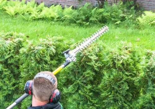 Valt tuinonderhoud onder cis?
