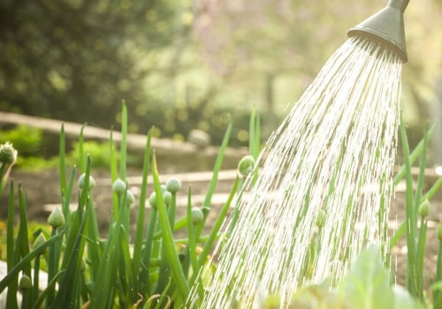 Hoe houd je de tuin water terwijl je weg bent?