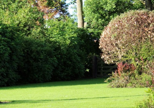 Waarom gazononderhoud?