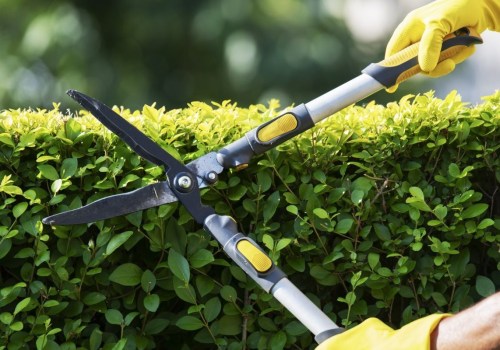 Tips voor onderhoud van de tuin